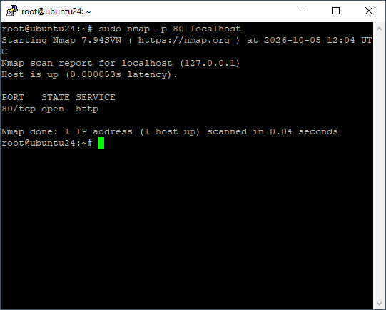Check a Specific Port with Nmap