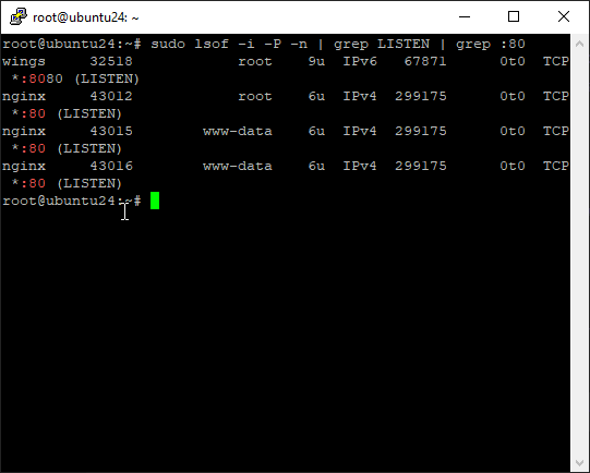 Find the Process Using a Specific Port with lsof