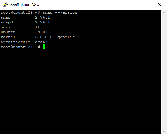 Check snap package version on ubuntu