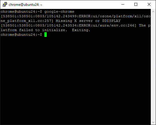 Google chrome gui error in Linux Server