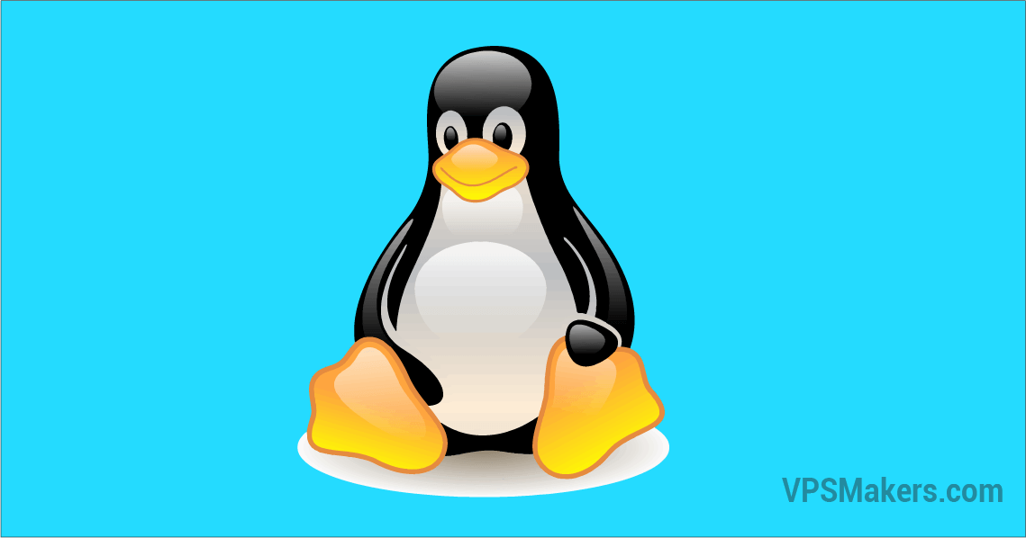 What is Linux Server Operating System?