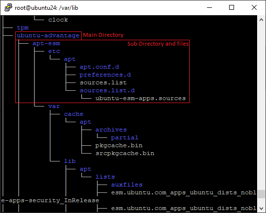 list files and directories in linux with tree command