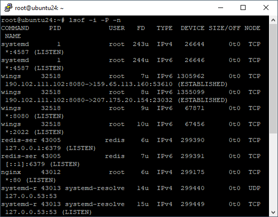 list open ports with lsof