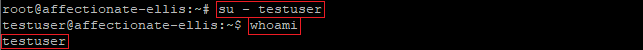 switching user in ubuntu