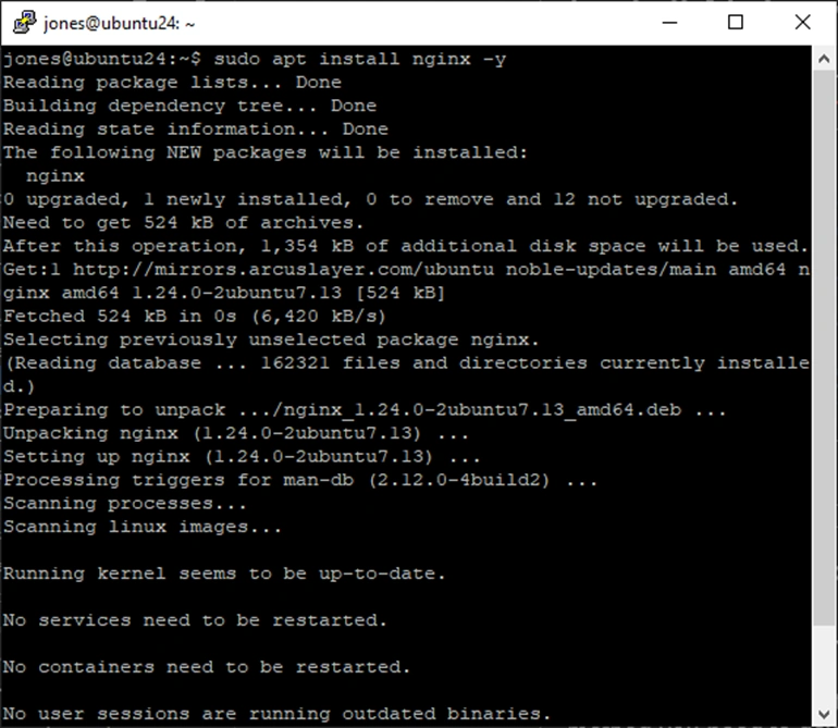 nginx installation successful