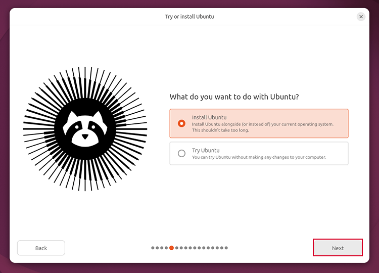 select install ubuntu option in ubuntu desktop installer