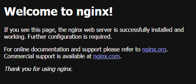 test nginx installation