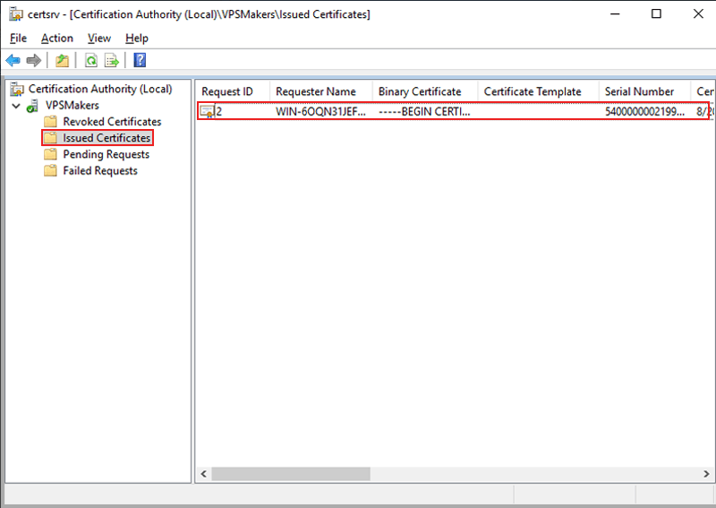 verify issued certificate